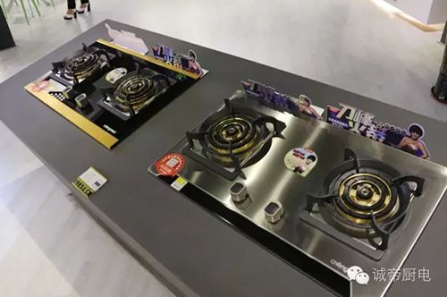 慧聪网家电展:诚帝厨电永不落幕