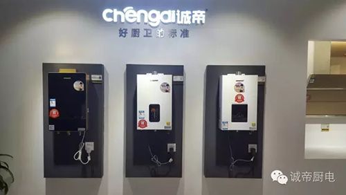 慧聪网家电展:诚帝厨电永不落幕